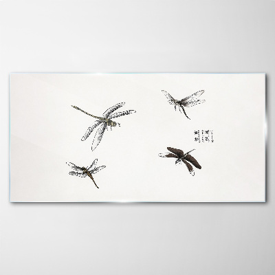 Obraz na skle Hmyz z červov