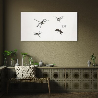Obraz na skle Hmyz z červov
