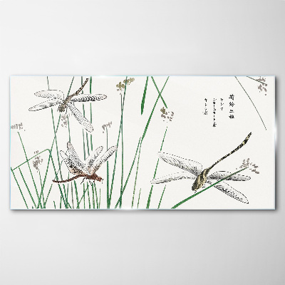 Obraz na skle Moderné hmyz