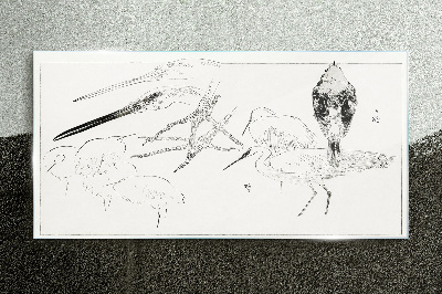 Skleneny obraz Kreslenie zvierat vták