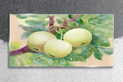 Obraz na skle Ovocie jablčný vetva listy