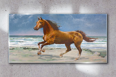 Skleneny obraz Pláž pobrežie kone mora vlny