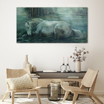 Skleneny obraz Lesné kone voľne žijúcich živočíchov