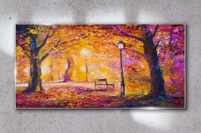 Skleneny obraz Lesný park stromy lampa lavica