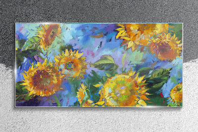 Obraz na skle Kvety slnečníc