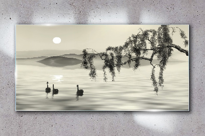 Skleneny obraz Jazero strom zvieracie vták