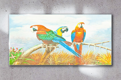 Skleneny obraz Zvieracie vtáky papagáj mraky