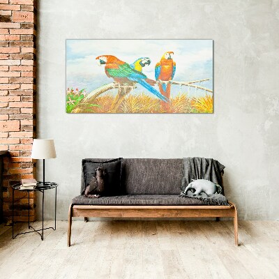 Skleneny obraz Zvieracie vtáky papagáj mraky