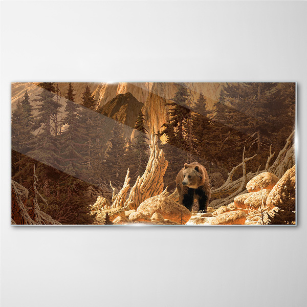 Skleneny obraz Lesné medveď hôr divokej zveri