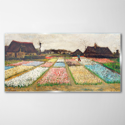 Skleneny obraz Jarné tulipánové polia