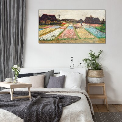 Skleneny obraz Jarné tulipánové polia