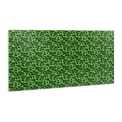 Nástenný panel PVC Listy zeleného šalátu