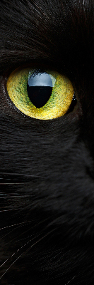 Roleta na okno Mačacie oči