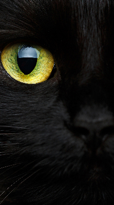 Roleta na okno Mačacie oči