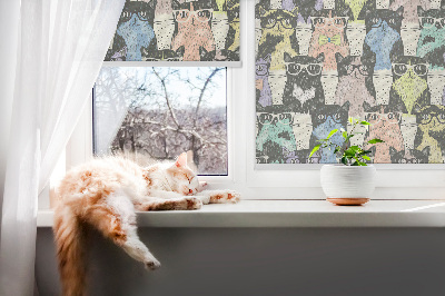 Roleta na okno Mačky