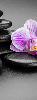 Roleta na okno Orchide na kameňoch