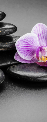 Roleta na okno Orchide na kameňoch