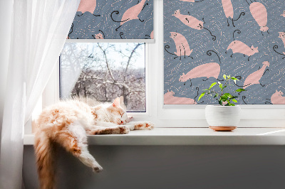 Roleta na okno Ružové mačky