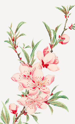 Roleta na okno Ružová kvetina