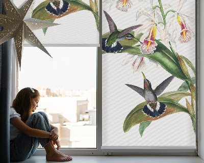 Roleta na okno Vtáky na kvetine