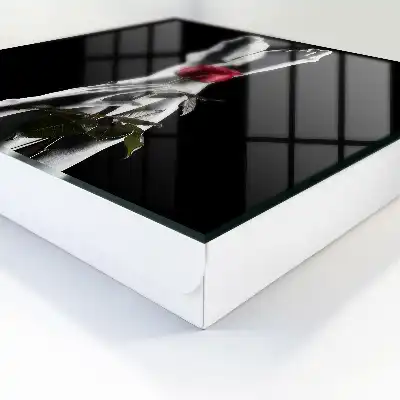 Elegancia ruže v bielej a červenej farbe