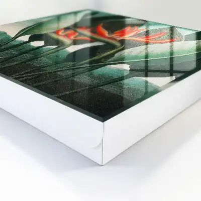 Exotika prírody v šťavnatých farbách