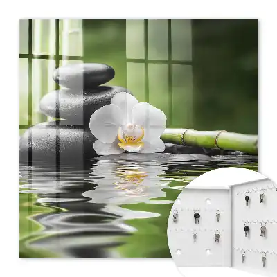 Orchideové zenové kamene vo vode