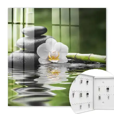 Orchideové zenové kamene vo vode