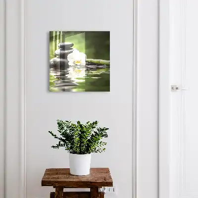Orchideové zenové kamene vo vode