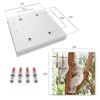 Koala relaxuje v prírodnom prostredí