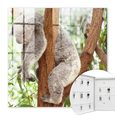 Koala relaxuje v prírodnom prostredí
