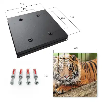 Tiger odpočíva s intenzívnym pohľadom