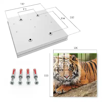 Tiger odpočíva s intenzívnym pohľadom