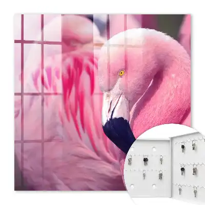 Ružová kráska v jemnom svetle