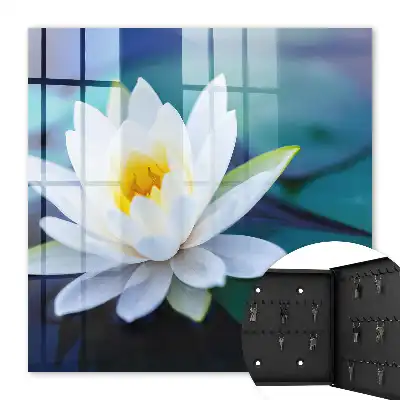 Meditácia lekna v prírode