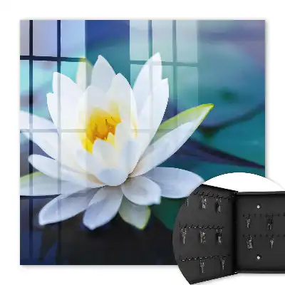 Meditácia lekna v prírode