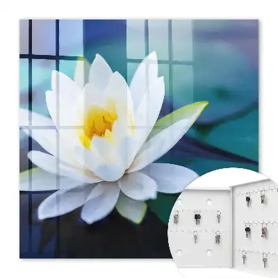 Meditácia lekna v prírode