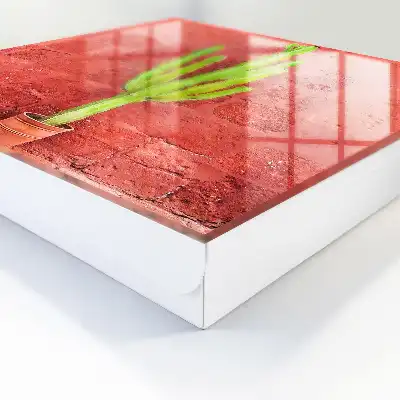Zelený kaktus na červenej stene