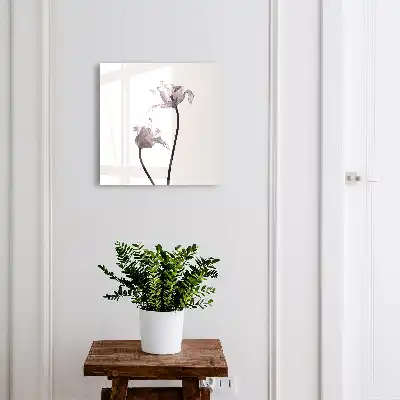 Minimalistické kvety na svetlom pozadí