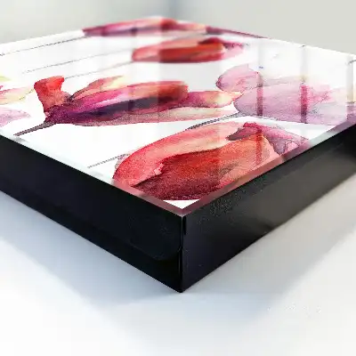 Tulipány v červenej a ružovej farbe