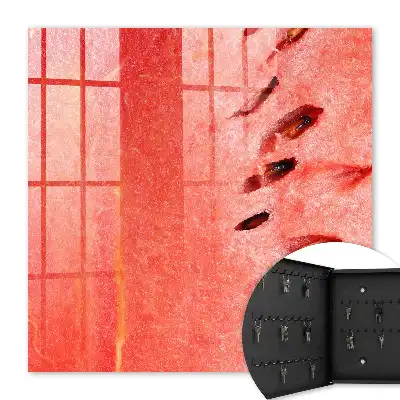 Šťavnatý melón so semienkami