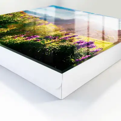Horská idylka s kvetmi a slnkom