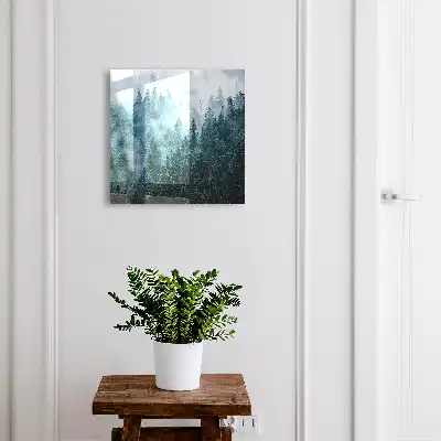 Zelený les v rannej hmle