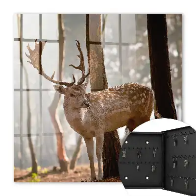 Jeleň v lese pri západe slnka