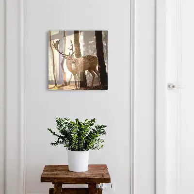 Jeleň v lese pri západe slnka
