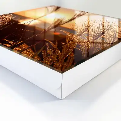 Západ slnka nad morom s trávou