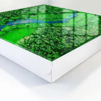 Zelené lesy tvoria harmonický celok