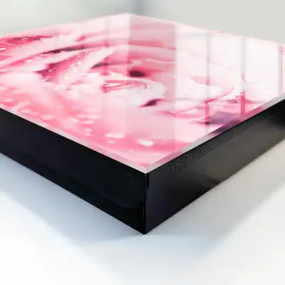 Ružová lahôdka s kvapkami rosy