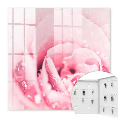 Ružová lahôdka s kvapkami rosy