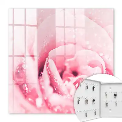 Ružová lahôdka s kvapkami rosy